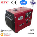 5kw Diesel Generator Set with Electric Safety (DG6LN-3P)